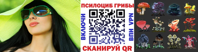 Псилоцибиновые грибы Psilocybine cubensis  Купить закладки  Буйнакск 